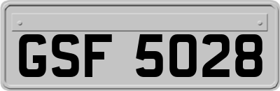 GSF5028