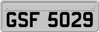 GSF5029