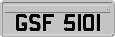 GSF5101