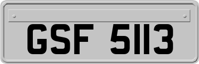 GSF5113