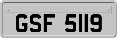 GSF5119
