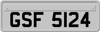 GSF5124