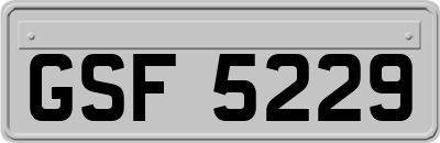 GSF5229