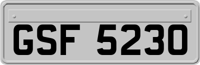 GSF5230