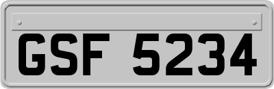GSF5234