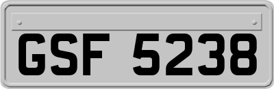 GSF5238