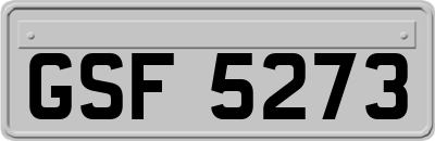 GSF5273