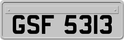 GSF5313