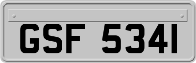 GSF5341