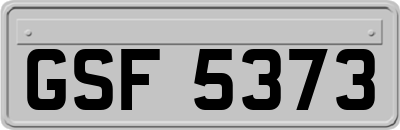 GSF5373