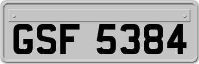 GSF5384