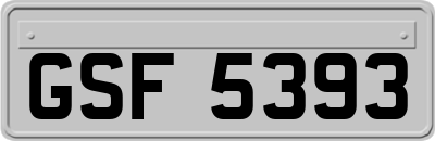 GSF5393