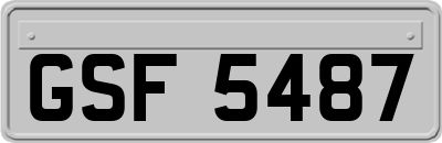 GSF5487