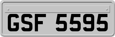 GSF5595