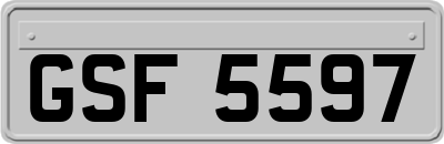 GSF5597