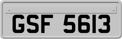 GSF5613