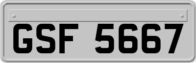 GSF5667