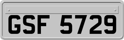 GSF5729