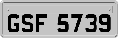 GSF5739