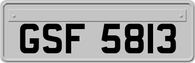 GSF5813