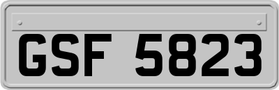 GSF5823
