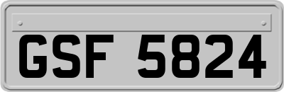 GSF5824