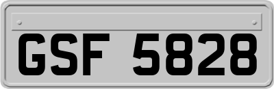 GSF5828