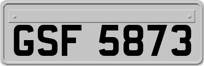 GSF5873