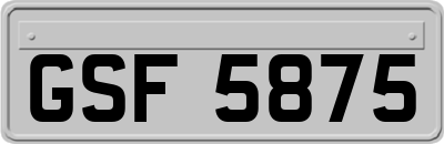 GSF5875