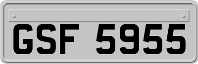 GSF5955