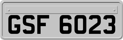 GSF6023