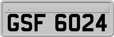 GSF6024