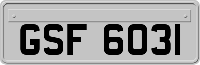 GSF6031