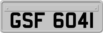 GSF6041