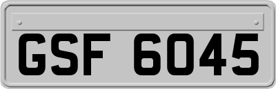 GSF6045