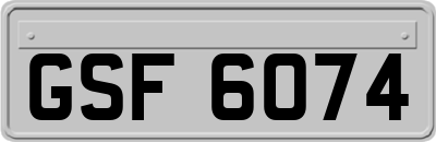 GSF6074