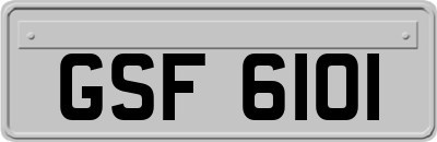GSF6101