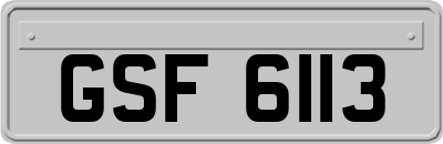 GSF6113