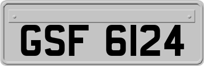 GSF6124