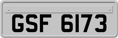 GSF6173