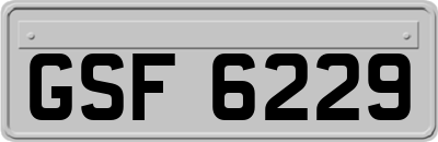 GSF6229