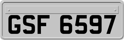 GSF6597