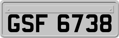 GSF6738