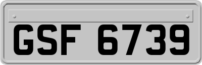 GSF6739
