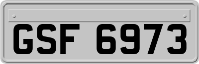 GSF6973