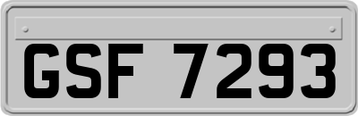 GSF7293