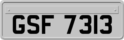 GSF7313