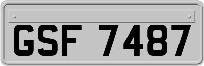 GSF7487