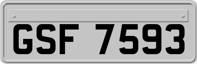 GSF7593