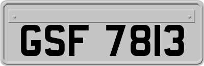 GSF7813